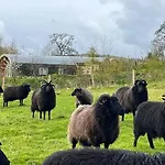 Grange Beck Farm Glamping * Kildwick