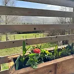 Grange Beck Farm Glamping * Kildwick