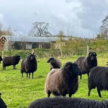 Grange Beck Farm Glamping * Kildwick
